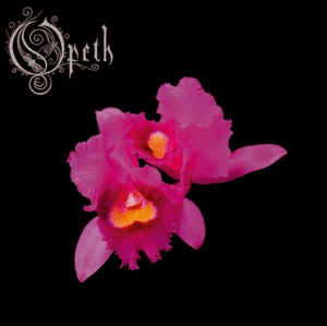 ORCHID