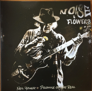 NOISE & FLOWERS