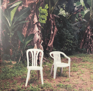 DEBÍ TIRAR MÁS FOTOS