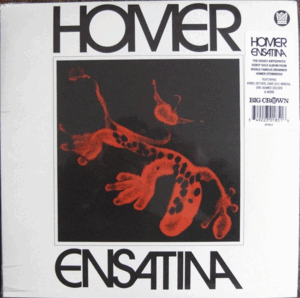 ENSATINA