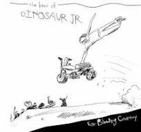 EAR BLEEDING COUNTRY: THE BEST OF