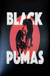 BLACK PUMAS 