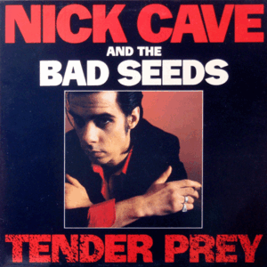 TENDER PREY