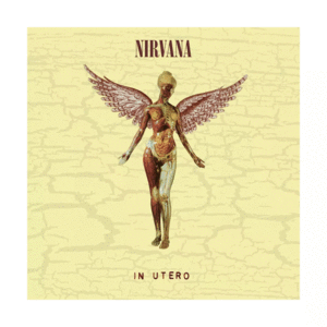 IN UTERO (30TH ANNIVERSARY)