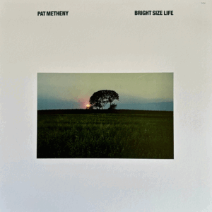 BRIGHT SIZE LIFE