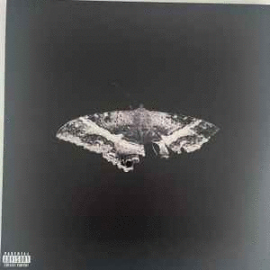 TO PIMP A BUTTERFLY (10TH ANNIVERSARY)