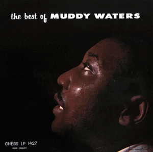 BEST OF MUDDY WATERS