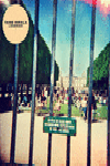 LONERISM