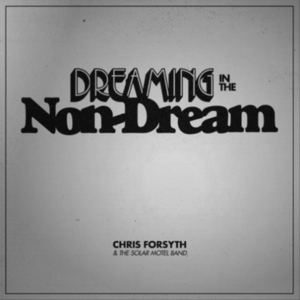 CD - DREAMING IN THE NON-DREAM