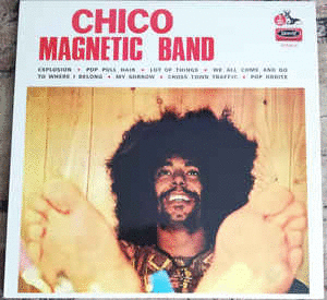 CHICO MAGNETIC BAND