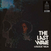 THE LAST WAVE