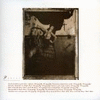 SURFER ROSA