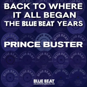 BACK TO WHERE IT ALL BEGAN - THE BLUE BEAT YEARS