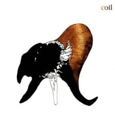 BLACK ANTLERS