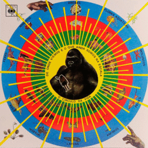 KRISHNANDA