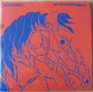 NO TE PUEDES RENDIR