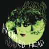 HAUNTED HEAD