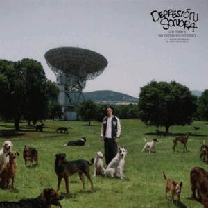 LOS PERROS NO ENTIENDEN INTERNET (... Y YO NO ENTIENDO DE SENTIMIENTOS)