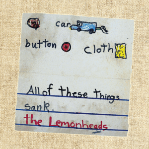 CAR BUTTON CLOTH