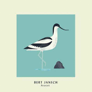 AVOCET