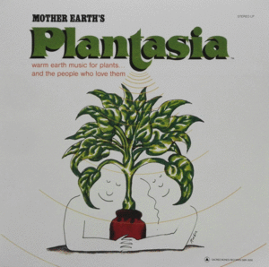 MOTHER EARTH'S PLANTASIA (CALADIUM PINK AND GREEN)