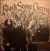 BLACK STONE CHERRY