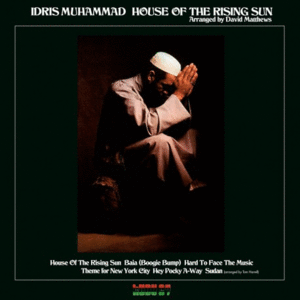 HOUSE OF THE RISING SUN (COLORED VINYL)