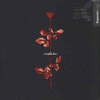 VIOLATOR
