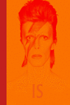 DAVID BOWIE IS INSIDE