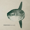 MOLA MOLA