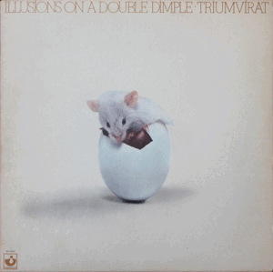 ILLUSIONS ON A DOUBLE DIMPLE